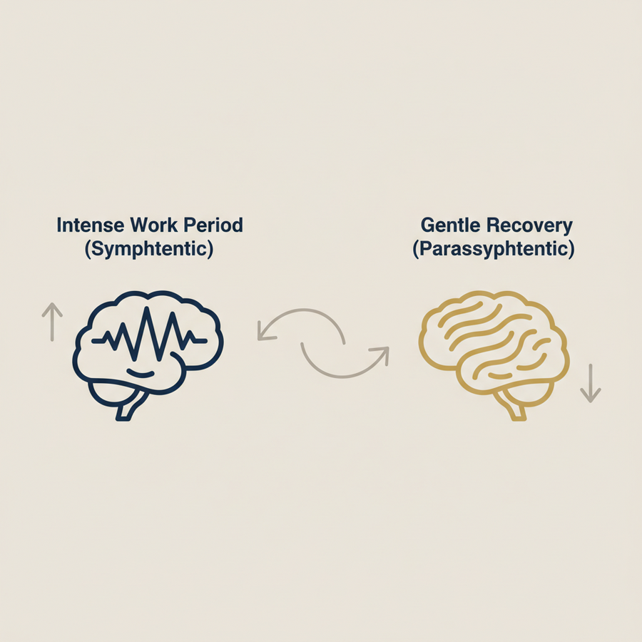 Neurovia illustration – stress and brain self-regulation